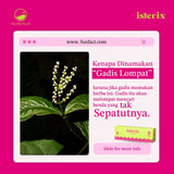 (HIGH DEMAND) Isterix, Campuran Minuman Botani Berperisa Apricot, 10 sachets