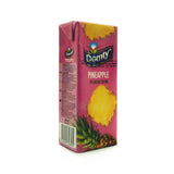 Domty, Pineapple, Premium Drink, 235ml