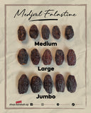 Medjoul Falastine Large