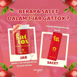 Gat Tox, Apple Cider, 10 Sachet x 20 ml