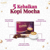 Audela, Mocha FT Delicious Drink Chocolate Drink, 10 sachets x 20 g