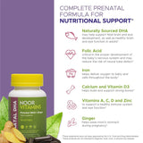 Noor Vitamins, Prenatal DHA, 30 softgels
